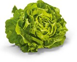 Aktuelle Gemüse Angebote bei Netto Marken-Discount in Siegen (Universitätsstadt) Aktuelles Kopfsalat Angebot bei Netto Marken-Discount in Siegen (Universitätsstadt) ab 0,99 €