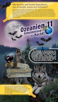 Dekoration Angebot im Netto mit dem Scottie Prospekt, gültig von 18.08.2025 bis 23.08.2025 Dekoration Angebot im aktuellen Netto mit dem Scottie Prospekt auf Seite 13