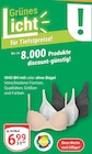 BH im Angebot bei GLOBUS in Viersen BH Angebote von OHO bei GLOBUS Viersen für 6,99 €