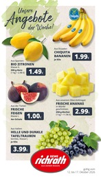 REWE Prospekt für Erftstadt mit 23 Seiten REWE Prospekt "Dein Markt" für Erftstadt, 23 Seiten, 12.10.2026 - 17.10.2026