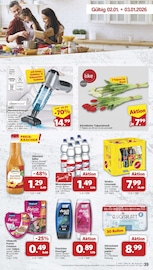 Aktueller famila Nordwest Prospekt mit Tulpen, "Markt - Angebote", Seite 41