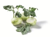 Kohlrabi Angebot in Sonnenhof b Stuttgart Kohlrabi im aktuellen Prospekt bei Lidl in Sonnenhof b Stuttgart