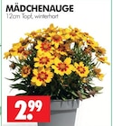 MÄDCHENAUGE Angebote bei Wreesmann Freiberg für 2,99 €