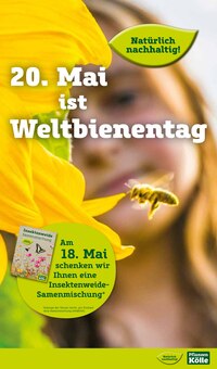 Getränke im Pflanzen Kölle Prospekt "Blütenzauber für fleissige Bienchen!" mit 16 Seiten (Potsdam)