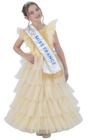 DÉGUISEMENT ROBE DORÉE MISS FRANCE - Disney Princess à 49,99 € dans le catalogue JouéClub