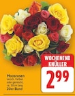 Moosrosen im E center Prospekt Moosrosen von im aktuellen E center Prospekt für 2,99 €