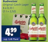 Original Czech Lager Angebote von Budweiser bei Getränkewelt Hagen für 4,99 €