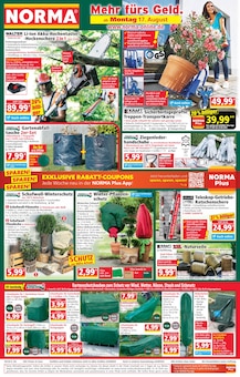 Teppich im aktuellen Norma Prospekt (Heilbronn) Teppich im Norma Prospekt "Mehr fĂĽrs Geld" mit 28 Seiten (Heilbronn)