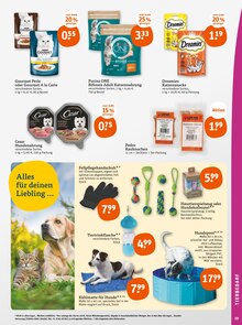 Katzenfutter im tegut Prospekt "tegut… gute Lebensmittel" mit 23 Seiten (Mannheim)