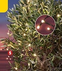 50er-LED-Solarlichterkette  im aktuellen Penny Prospekt für 4,99 €