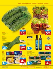 Ähnliche Pflanzenöl Angebote im Prospekt "Aktuelle Angebote" von Netto Marken-Discount in Offenbach Ähnliche Angebote wie Pflanzenöl im Prospekt "Aktuelle Angebote" auf Seite 51 von Netto Marken-Discount in Offenbach
