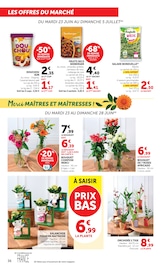Promos Plante Verte dans le catalogue "Super U" de Super U Plante Verte en promo dans le catalogue Super U à la page 36