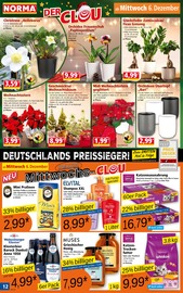 Weihnachtsbaum im Norma Prospekt in Stutensee Aktueller Norma Prospekt mit Weihnachtsbaum, "Mehr fürs Geld", Seite 12