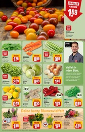 Garten Angebot im aktuellen REWE Prospekt auf Seite 9