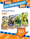 Promo Bulbes de fleurs à 1,57 € dans le catalogue Action à Saint-M'Hervé