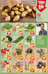 REWE Pflanzen im Prospekt 