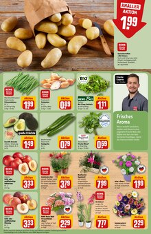 Blumen im aktuellen REWE Prospekt (Augsburg) Blumen im REWE Prospekt "Dein Markt" mit 30 Seiten (Augsburg)