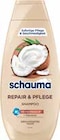 Shampoo bei GLOBUS im Prospekt "" für 1,49 €