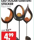 LED-SOLAR-GARTEN-STECKER Angebot in Rositz LED-SOLAR-GARTEN-STECKER im aktuellen Prospekt bei Wreesmann in Rositz