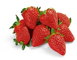 Erdbeeren im Netto Marken-Discount Prospekt Erdbeeren im aktuellen Netto Marken-Discount Prospekt für 1,49 €
