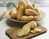 Pomme de terre de consommation à chair ferme Princesse Amandine - Super U à Mulhouse Pomme de terre de consommation à chair ferme Princesse Amandine en promo chez Super U Mulhouse à 3,19 €