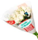 CAP Markt Rendsburg Rendsburg - Moosrosen Angebot im Prospekt Moosrosen bei CAP Markt Rendsburg im Rendsburg Prospekt für 1,99 €