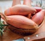 Promo Échalotes "jermor" à 2,99 € dans le catalogue Delbard à Vierzon