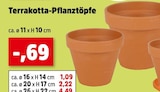 Terrakotta-Pflanztöpfe bei Thomas Philipps im Kreuztal Prospekt für 0,69 €