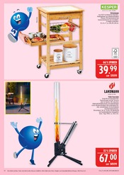 Aktueller Marktkauf Prospekt mit Dekoration, "AUSWAHL RIESIG, PREISE NIEDRIG", Seite 34