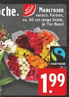 Moosrosen Angebote bei EDEKA Paderborn für 1,99 €