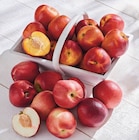 Nectarine jaune ou blanche dans le catalogue U Express