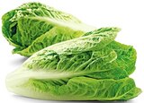 Bio Romana Salatherzen im Angebot bei REWE in Lemgo Bio Romana Salatherzen Angebote von REWE Bio bei REWE Lemgo für 1,49 €