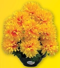 Pot chrysanthemes 9 tetes - Super U à Viry-Châtillon Pot chrysanthemes 9 tetes en promo chez Super U Viry-Châtillon à 5,49 €