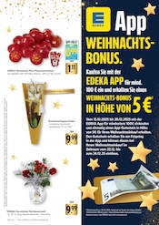 Ähnliche Sand Angebote im Prospekt "Aktuelle Angebote" von EDEKA in Mannheim Ähnliche Angebote wie Sand im Prospekt "Aktuelle Angebote" auf Seite 5 von EDEKA in Mannheim