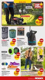 Kleidung im Penny Prospekt in Duisburg Aktueller Penny Prospekt mit Kleidung, "Wer günstig will, muss Penny.", Seite 37