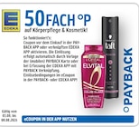 50FACH °P PAYBACK Angebot in Ilvesheim 50FACH °P PAYBACK im aktuellen Prospekt bei EDEKA in Ilvesheim