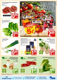 Marktkauf Salat im Prospekt 