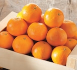 Promo Mandarine à 1,98 € dans le catalogue Intermarché Super à Yssingeaux