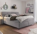 Boxspringbett im Angebot bei XXXLutz Möbelhäuser in Magdeburg Boxspringbett Angebote bei XXXLutz Möbelhäuser Magdeburg für 199,00 €