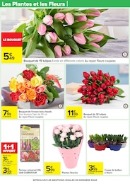 Prix et réduction Terreau dans le prospectus Carrefour en cours Offre Terreau dans le catalogue Carrefour du moment à la page 63