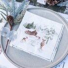 Lot de 16 serviettes en papier en promo chez Jour de fête Lot de 16 serviettes en papier dans le catalogue Jour de fête