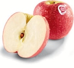 Pink Lady Äpfel bei Netto Marken-Discount im Kleinwallstadt Prospekt für 1,99 €