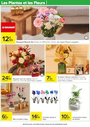 Prix et réduction Plantes dans le prospectus Carrefour en cours Offre Plantes dans le catalogue Carrefour du moment à la page 14