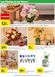 Promos Vase dans le catalogue "Carrefour" de Carrefour à la page 14 Promos Vase dans le catalogue "Carrefour" de Carrefour à la page 14