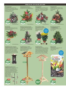Blumen im aktuellen V-Markt Prospekt (Augsburg) Blumen im V-Markt Prospekt "V-Markt einfach besser einkaufen" mit 21 Seiten (Augsburg)