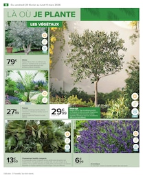 Offre Olivier dans le catalogue Carrefour du moment à la page 10