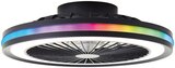 Aktuelles LED Deckenventilator „Palmero“ Angebot bei OBI in Erfurt ab 89,99 €