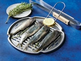 Sardine - Super U à Saint-Étienne Sardine en promo chez Super U Saint-Étienne à 3,50 €