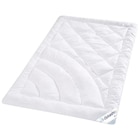 Steppbett für 34,99 € bei POCO im Angebot Steppbett im aktuellen POCO Prospekt