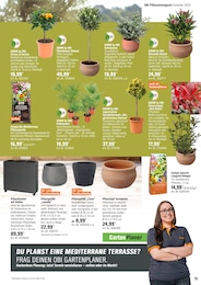 Bratpfanne Angebot & Preis im aktuellen OBI Prospekt Bratpfanne Angebot im aktuellen OBI Prospekt auf Seite 15